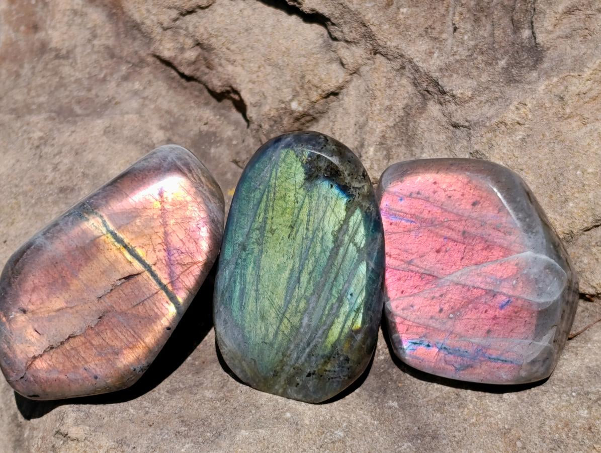Polished Rare Purple Sunset Flash Labradorite Standing Free Forms x 12 From Madagascar