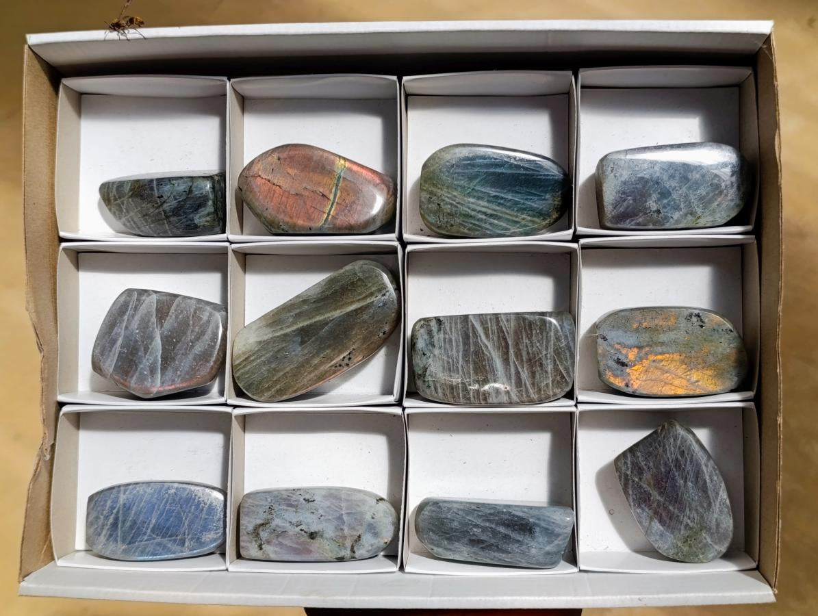 Polished Rare Purple Sunset Flash Labradorite Standing Free Forms x 12 From Madagascar