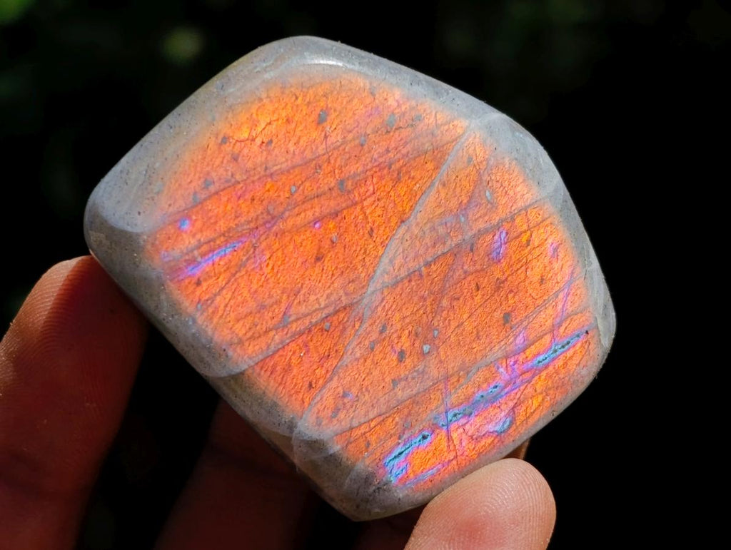 Polished Rare Purple Sunset Flash Labradorite Standing Free Forms x 12 From Madagascar