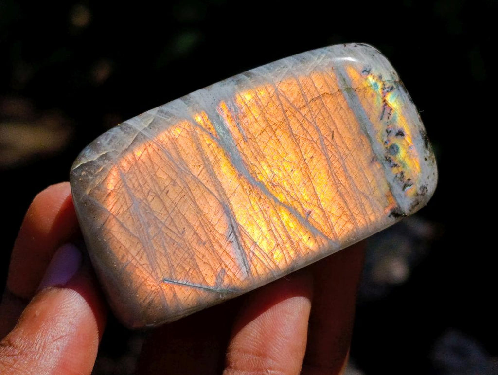 Polished Rare Purple Sunset Flash Labradorite Standing Free Forms x 12 From Madagascar