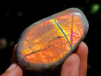 Polished Rare Purple Sunset Flash Labradorite Standing Free Forms x 12 From Madagascar