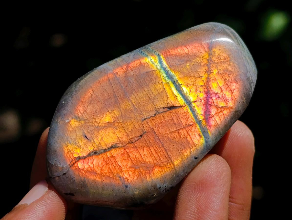 Polished Rare Purple Sunset Flash Labradorite Standing Free Forms x 12 From Madagascar