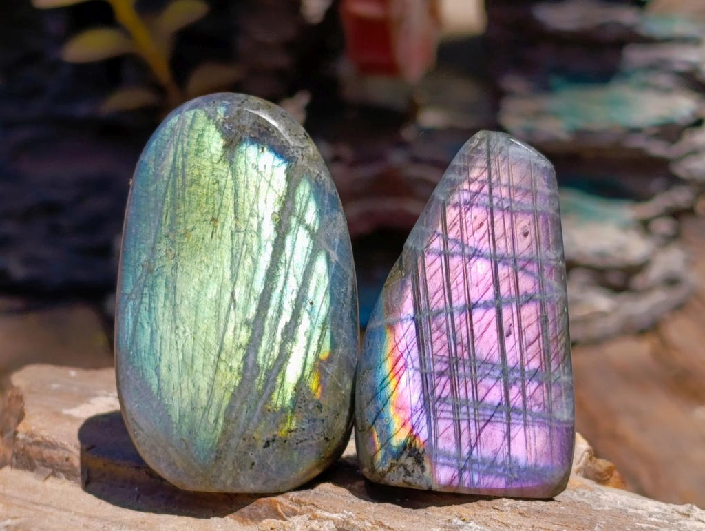 Polished Rare Purple Sunset Flash Labradorite Standing Free Forms x 12 From Madagascar