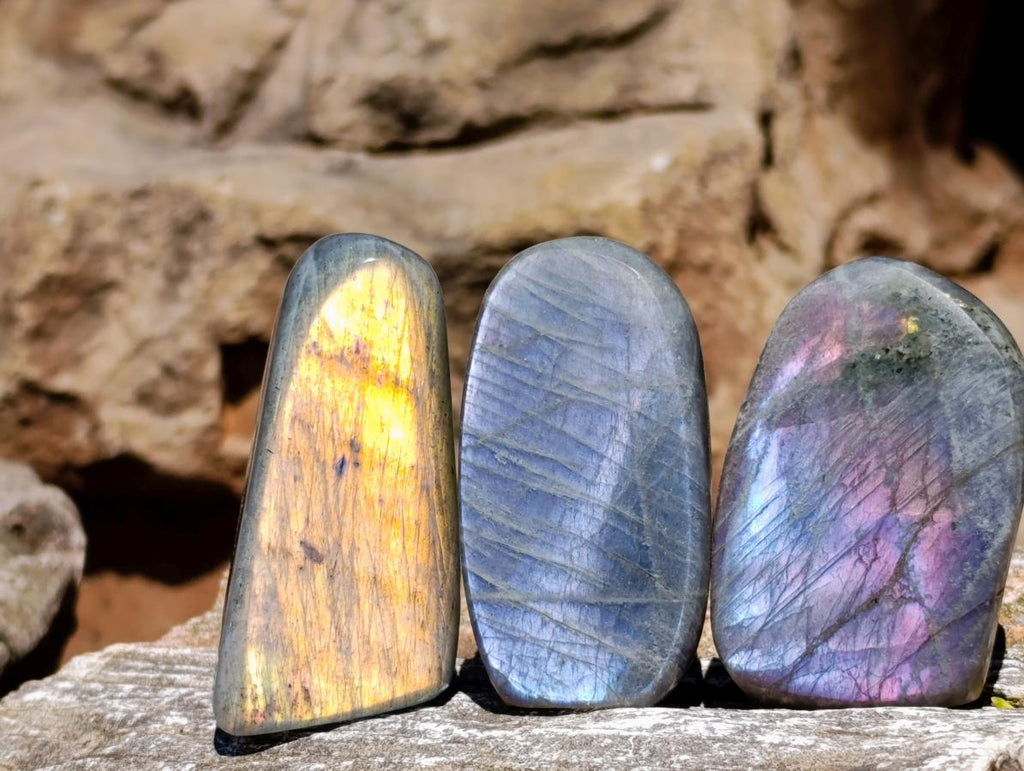 Polished Rare Purple Sunset Flash Labradorite Standing Free Forms x 12 From Madagascar