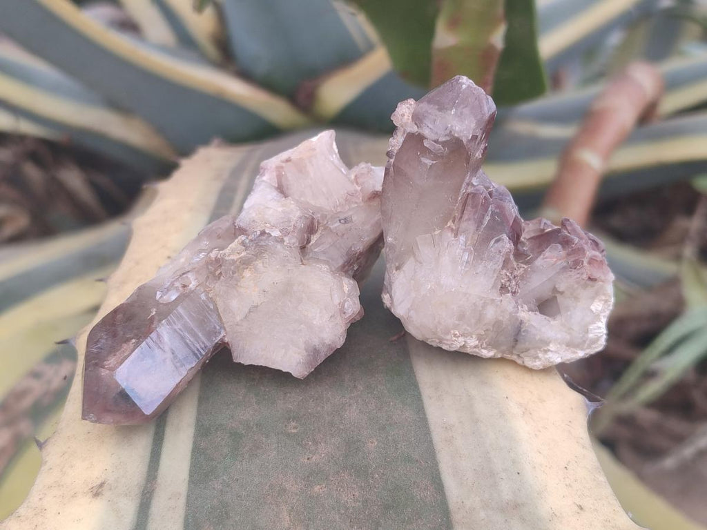 Natural Red Hematoid Quartz Crystals and Clusters x 24 From Karoi, Zimbabwe - Toprock Gemstones and Minerals 