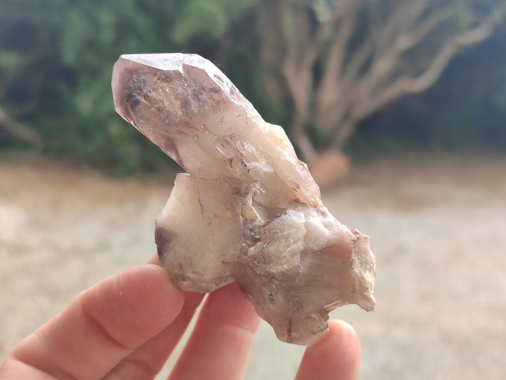 Natural Red Hematoid Quartz Crystals and Clusters x 24 From Karoi, Zimbabwe - Toprock Gemstones and Minerals 