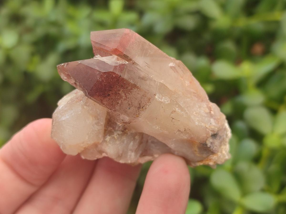 Natural Red Hematoid Quartz Crystals and Clusters x 24 From Karoi, Zimbabwe - Toprock Gemstones and Minerals 