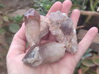 Natural Red Hematoid Quartz Crystals and Clusters x 24 From Karoi, Zimbabwe - Toprock Gemstones and Minerals 