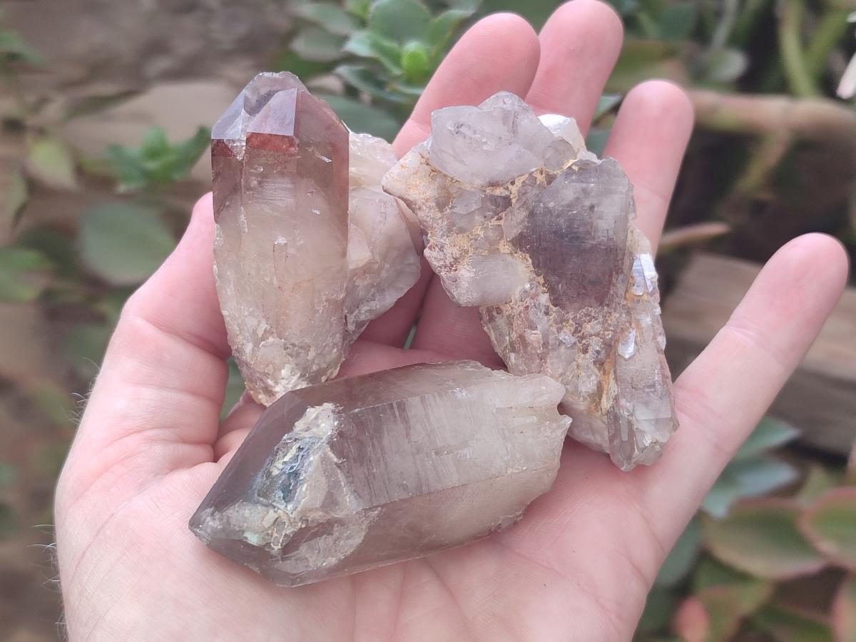 Natural Red Hematoid Quartz Crystals and Clusters x 24 From Karoi, Zimbabwe - Toprock Gemstones and Minerals 
