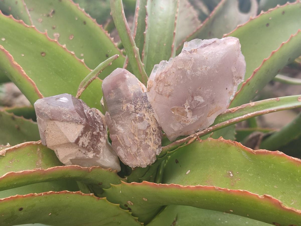 Natural Red Hematoid Quartz Crystals and Clusters x 24 From Karoi, Zimbabwe - Toprock Gemstones and Minerals 