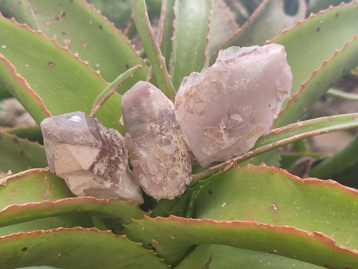 Natural Red Hematoid Quartz Crystals and Clusters x 24 From Karoi, Zimbabwe - Toprock Gemstones and Minerals 
