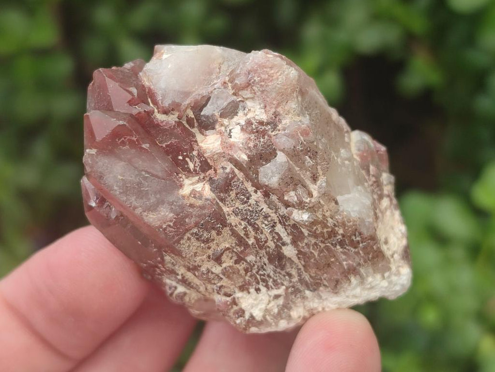 Natural Red Hematoid Quartz Crystals and Clusters x 24 From Karoi, Zimbabwe - Toprock Gemstones and Minerals 