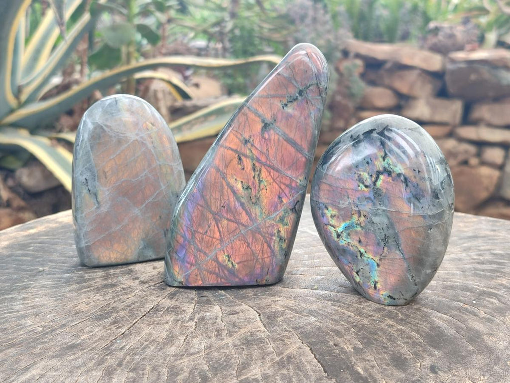 Polished Rare Purple Sunset Flash Labradorite Standing Free Forms x 3 From Madagascar - Toprock Gemstones and Minerals 