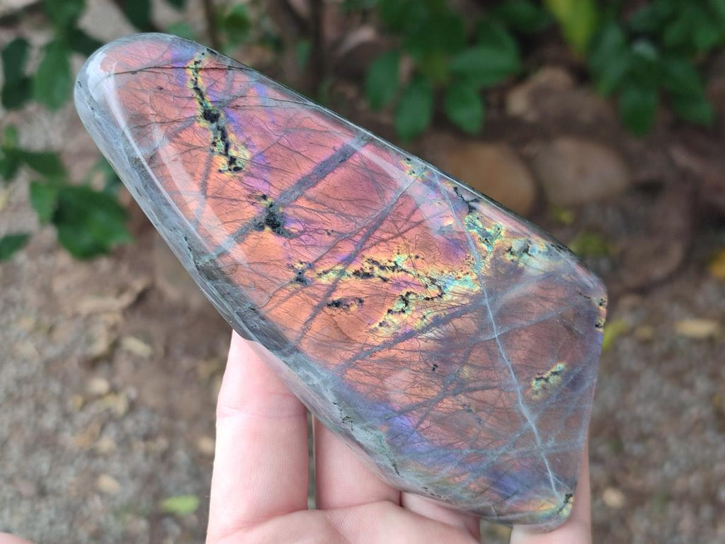 Polished Rare Purple Sunset Flash Labradorite Standing Free Forms x 3 From Madagascar - Toprock Gemstones and Minerals 
