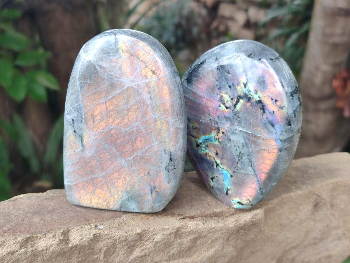 Polished Rare Purple Sunset Flash Labradorite Standing Free Forms x 3 From Madagascar - Toprock Gemstones and Minerals 