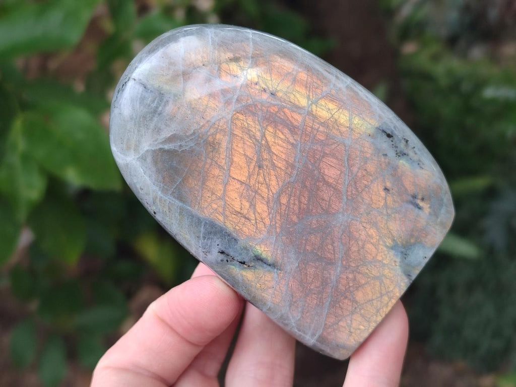 Polished Rare Purple Sunset Flash Labradorite Standing Free Forms x 3 From Madagascar - Toprock Gemstones and Minerals 