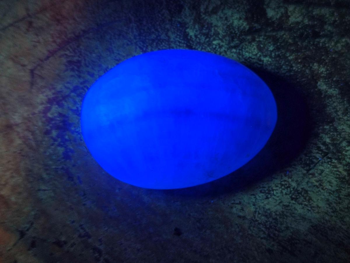 Polished Selected Multi Mineral Palm Stones x 12 From Madagascar - Toprock Gemstones and Minerals 