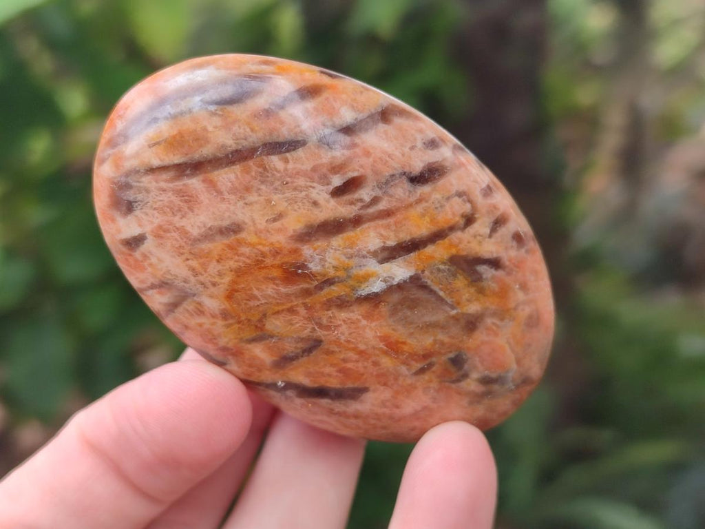 Polished Selected Multi Mineral Palm Stones x 12 From Madagascar - Toprock Gemstones and Minerals 