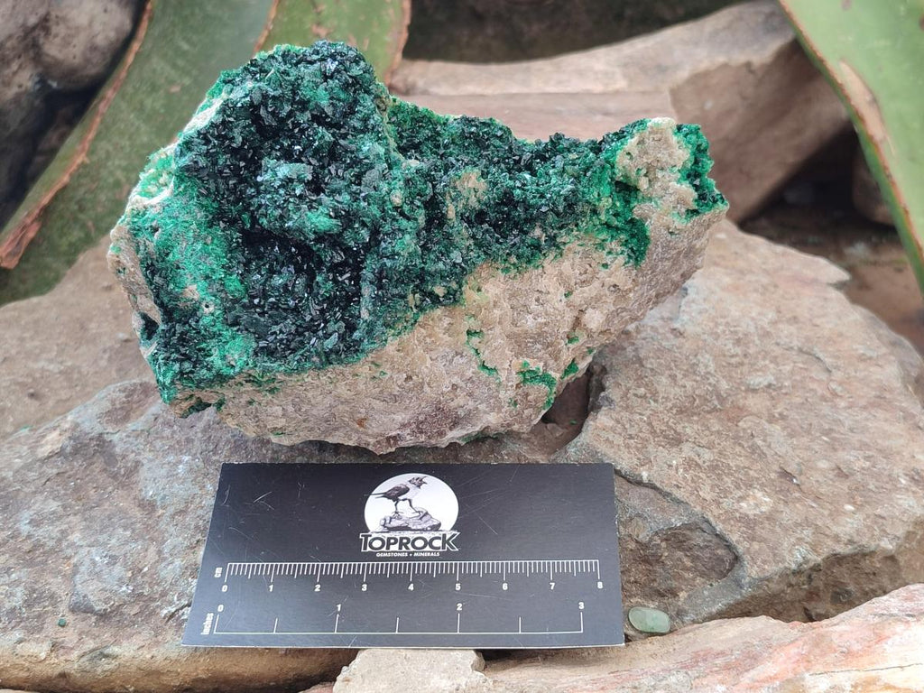 Natural Crystalline Malachite Specimens x 2 From Tenke Fungurume, Congo