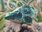 Natural Crystalline Malachite Specimens x 2 From Tenke Fungurume, Congo