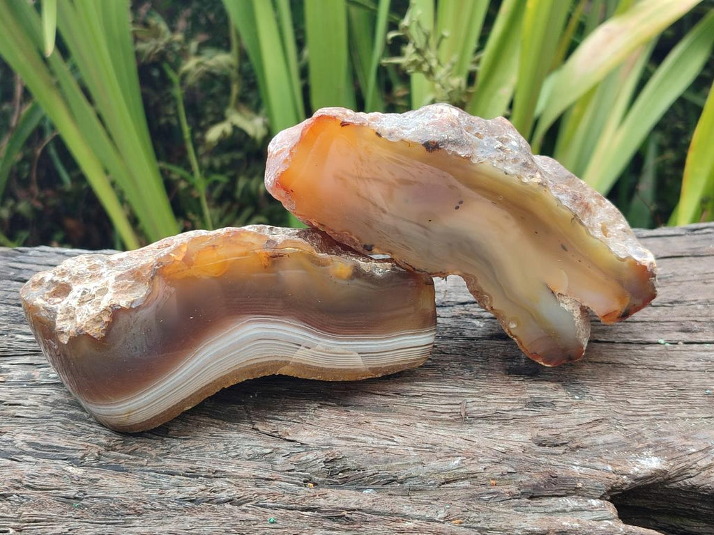 Polished One Side Amber Agate Nodules x 6 From Shashe River, Zimbabwe