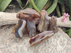 Polished One Side Amber Agate Nodules x 6 From Shashe River, Zimbabwe