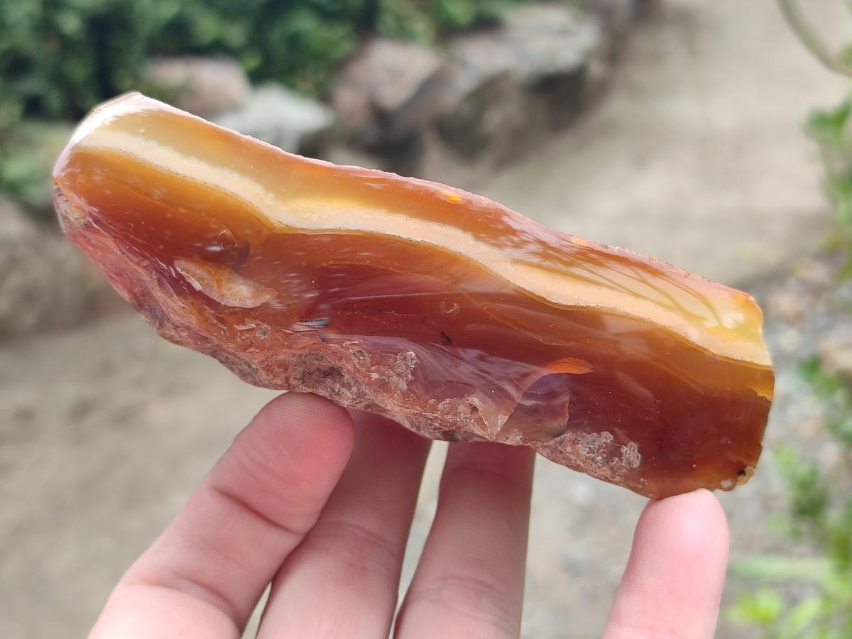 Polished One Side Amber Agate Nodules x 6 From Shashe River, Zimbabwe