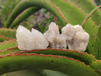 Natural White Spirit Quartz Clusters and Crystals x 135 From South Africa - Toprock Gemstones and Minerals 