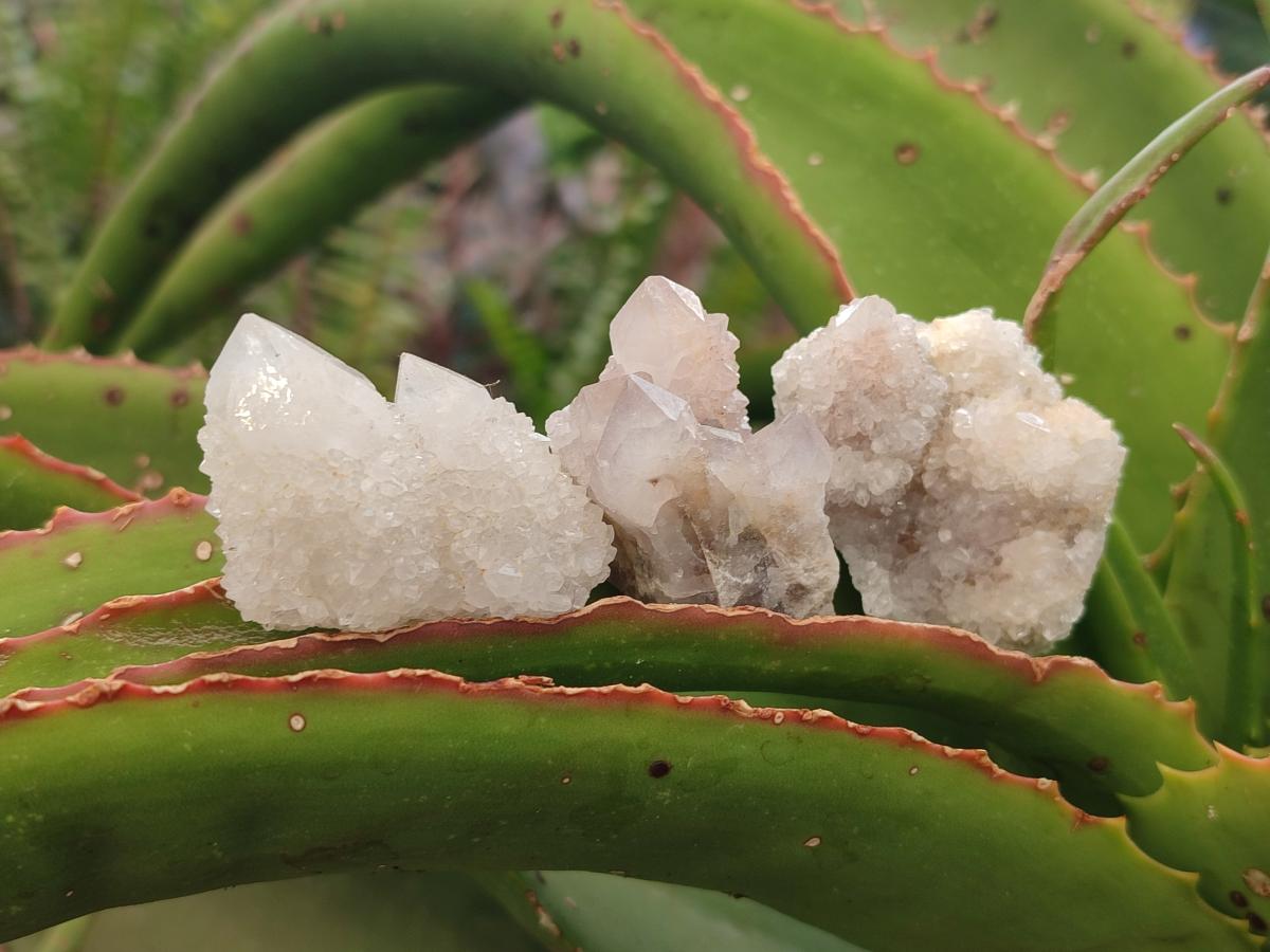 Natural White Spirit Quartz Clusters and Crystals x 135 From South Africa - Toprock Gemstones and Minerals 