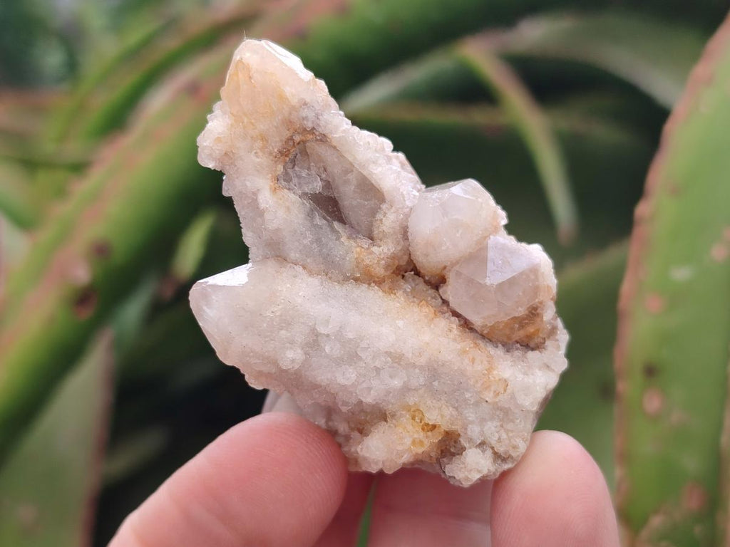Natural White Spirit Quartz Clusters and Crystals x 135 From South Africa - Toprock Gemstones and Minerals 