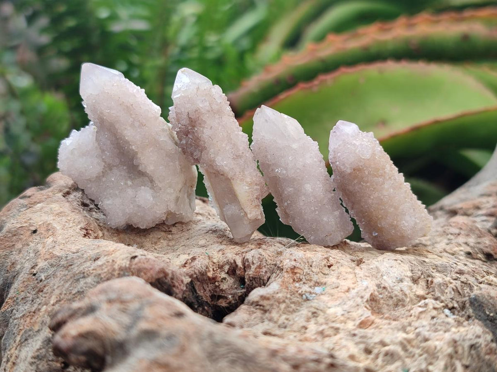 Natural White Spirit Quartz Clusters and Crystals x 135 From South Africa - Toprock Gemstones and Minerals 