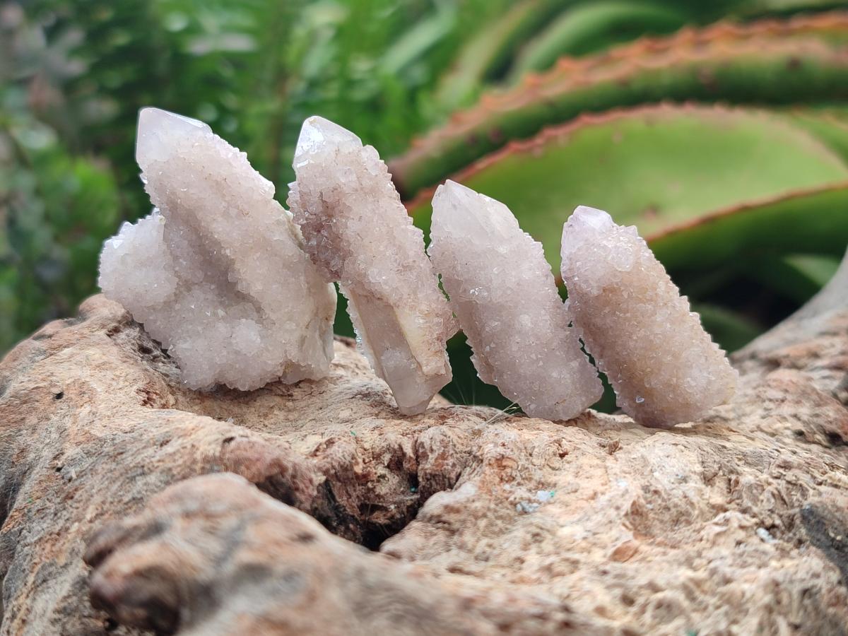 Natural White Spirit Quartz Clusters and Crystals x 135 From South Africa - Toprock Gemstones and Minerals 