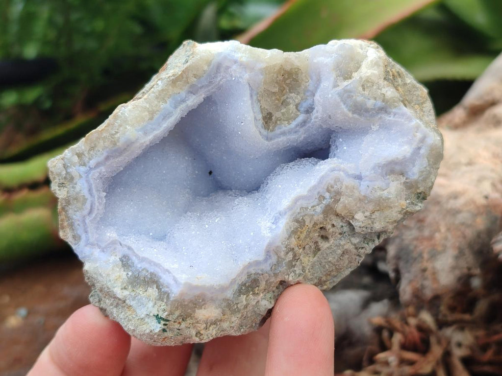 Natural Blue Lace Agate Geode Specimens x 12 From Nsanje, Malawi