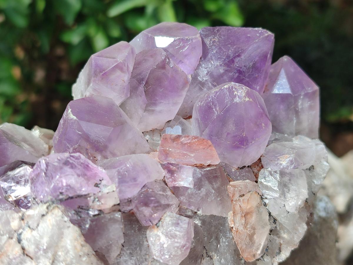 Natural Jacaranda Amethyst Crystal Clusters x 2 From Mumbwa, Zambia