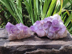 Natural Jacaranda Amethyst Crystal Clusters x 2 From Mumbwa, Zambia