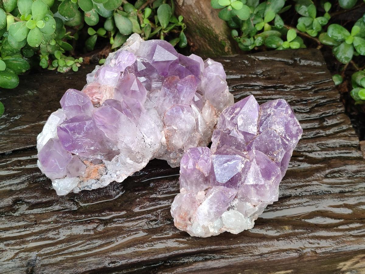 Natural Jacaranda Amethyst Crystal Clusters x 2 From Mumbwa, Zambia