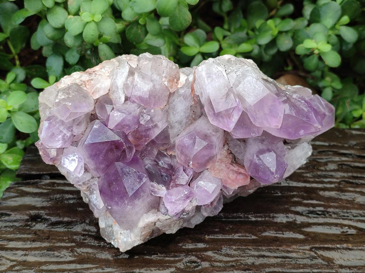 Natural Jacaranda Amethyst Crystal Clusters x 2 From Mumbwa, Zambia