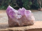 Natural Jacaranda Amethyst Crystal Clusters x 2 From Mumbwa, Zambia