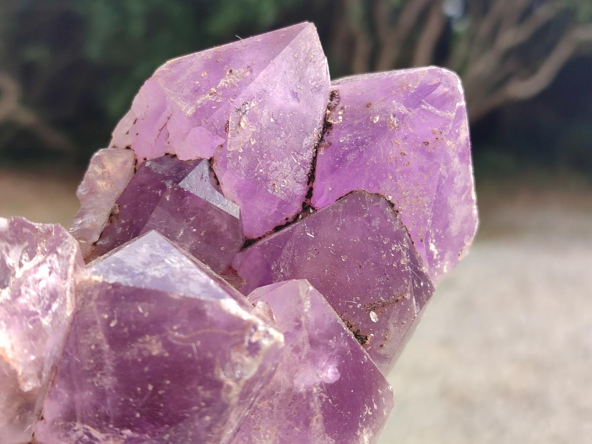 Natural Jacaranda Amethyst Crystal Clusters x 2 From Mumbwa, Zambia