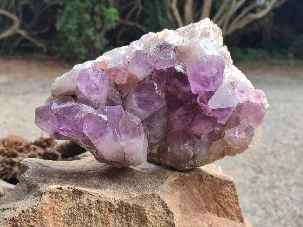 Natural Jacaranda Amethyst Crystal Clusters x 2 From Mumbwa, Zambia