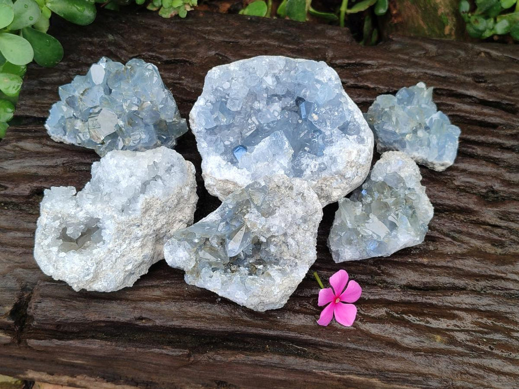 Natural Blue Celestite Cluster Specimens x 6 From Sakoany, Madagascar