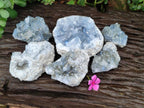 Natural Blue Celestite Cluster Specimens x 6 From Sakoany, Madagascar