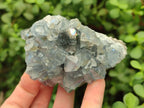 Natural Blue Celestite Cluster Specimens x 6 From Sakoany, Madagascar