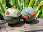 Polished Polychrome Jasper Spheres x 2 From NW Coast, Madagascar - Toprock Gemstones and Minerals 