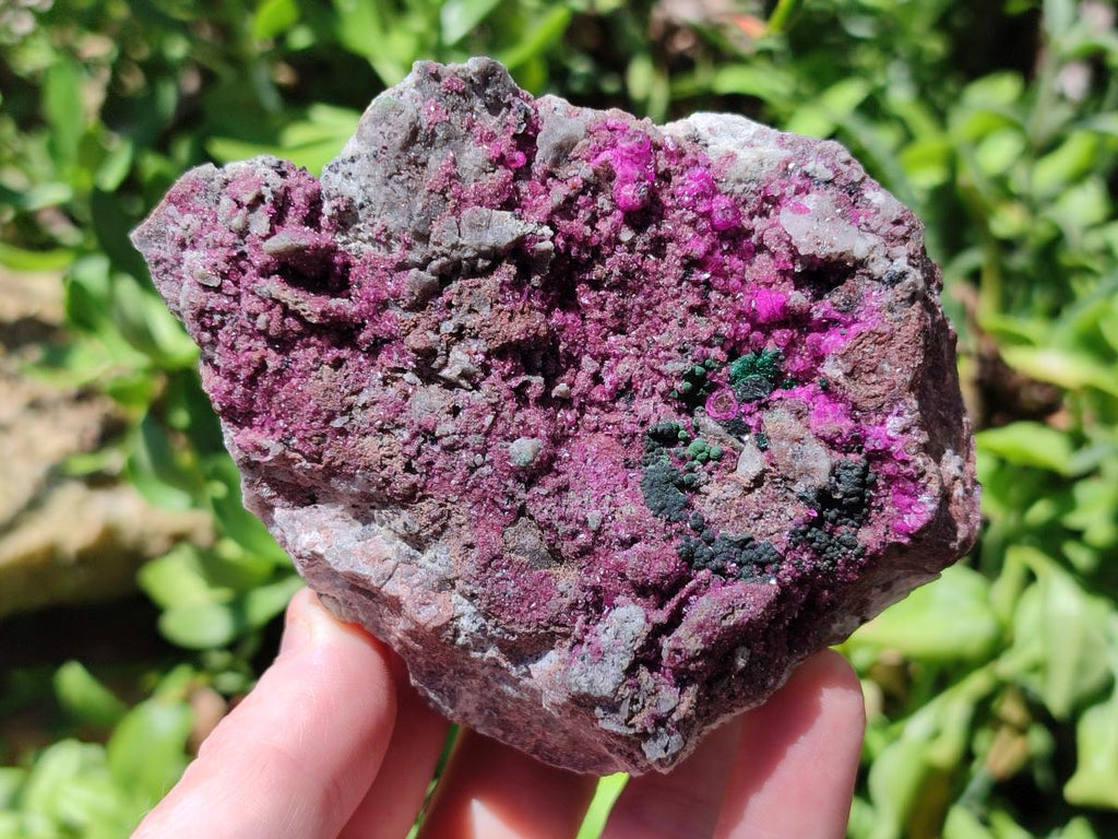 Natural Salrose Cobaltion Dolomite Specimens x 3 From Kakanda, Congo