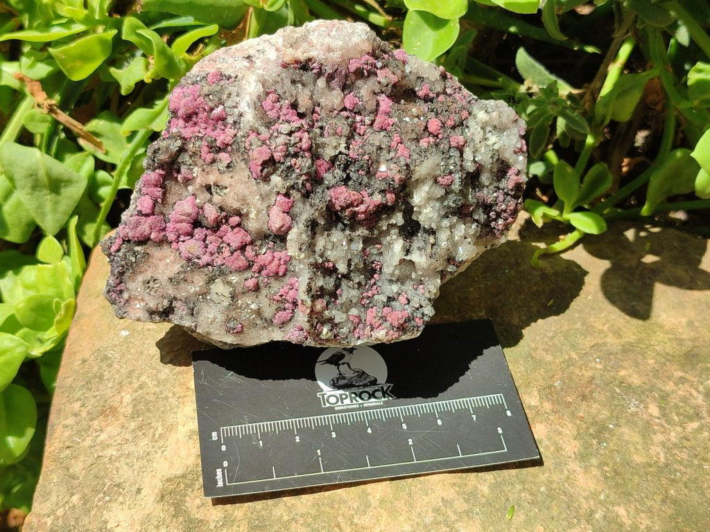Natural Salrose Cobaltion Dolomite Specimens x 3 From Kakanda, Congo