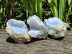 Natural Blue Lace Agate Geode Specimens x 12 From Nsanje, Malawi