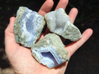 Natural Blue Lace Agate Geode Specimens x 12 From Nsanje, Malawi