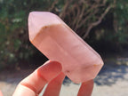 Polished Gemmy Rose Quartz Crystals x 6 From Madagascar