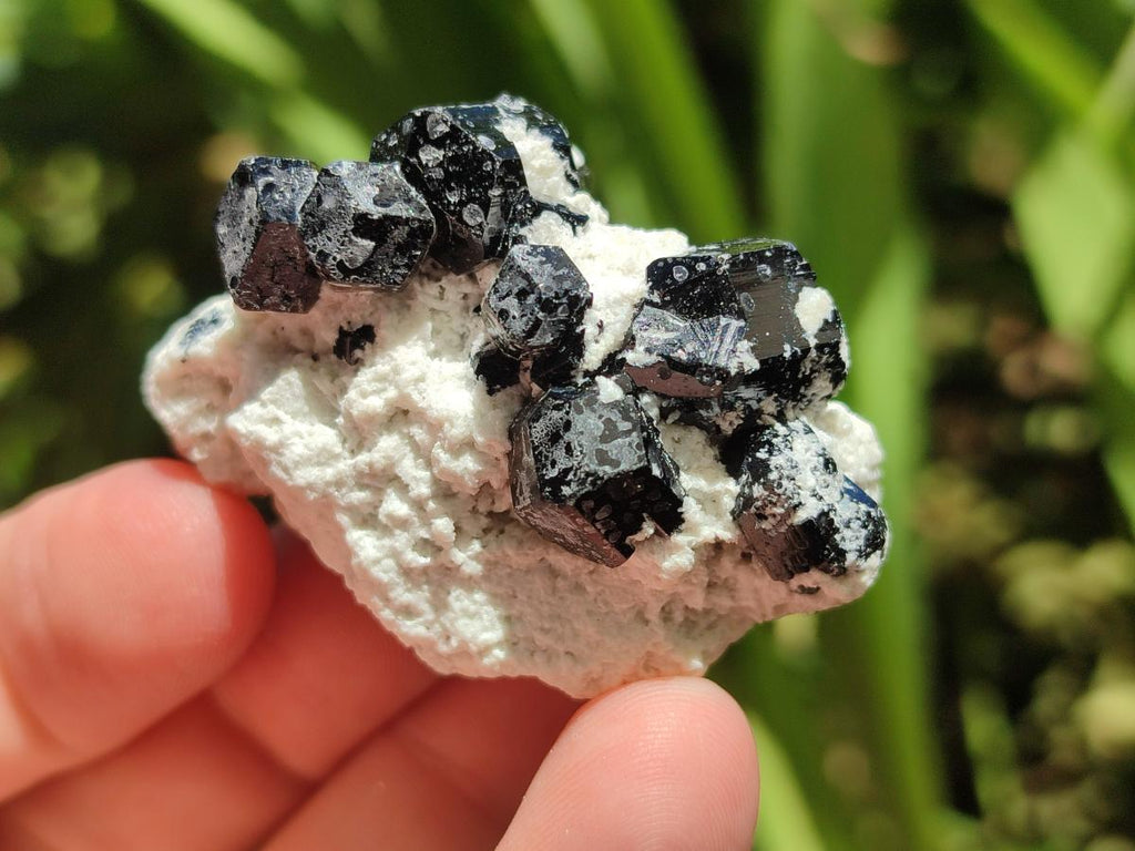 Natural Schorl Black Tourmaline Specimens with Inclusions x 35 From Erongo, Namibia